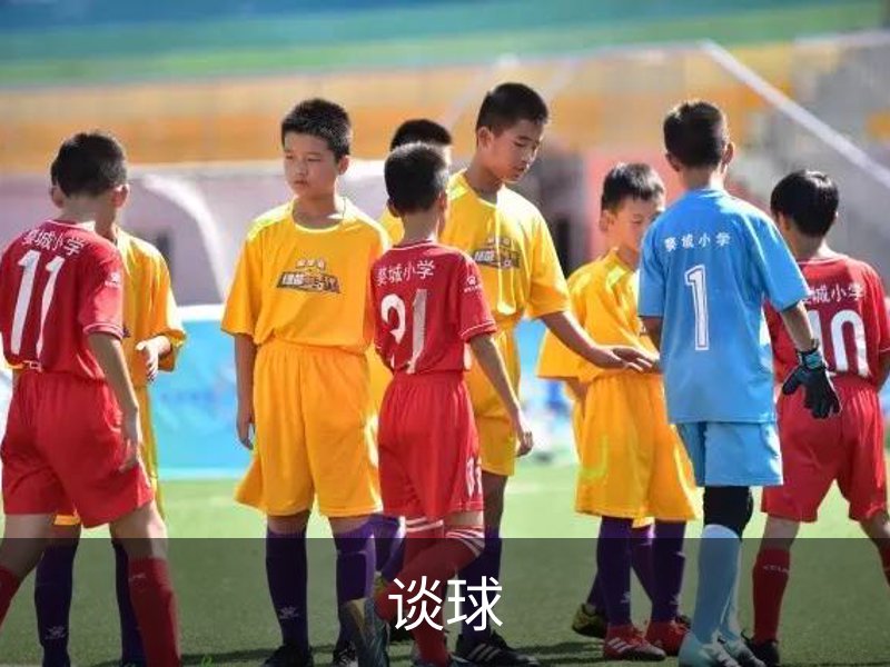 谈球简介